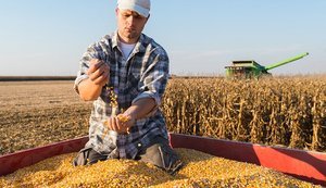 В Україні за рік зареєстрували 853 нові агрокомпанії: хто лідирує за виторгом. ІНФОГРАФІКА