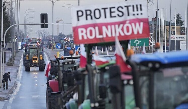 Наслідки блокади кордону: Експорт української агропродукції через Польщу впав утричі