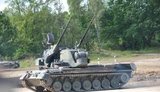 гепард
