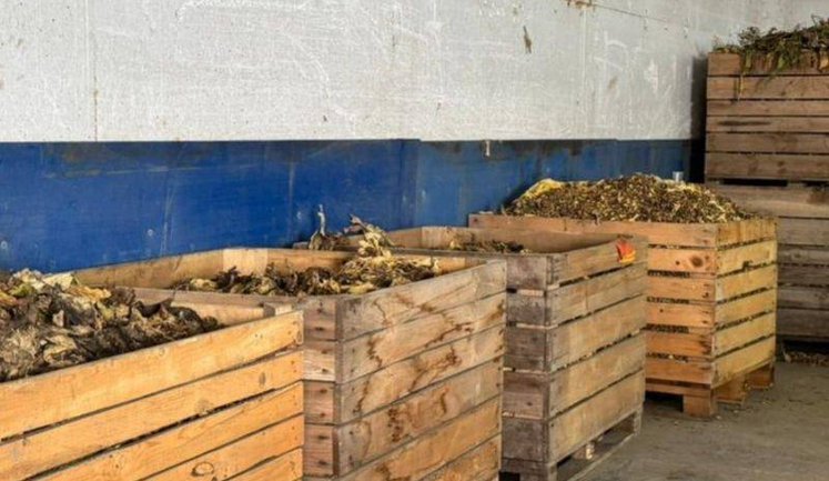 На Буковині викрито та припинено підпільне виробництво тютюну, який реалізовували по всій країні. ВІДЕО+ФОТОрепортаж
