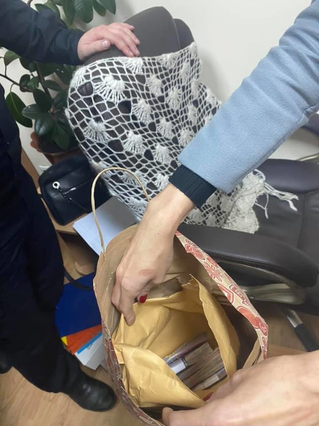 Сюмар виявила підкуп і фальсифікації на виборах у Борщагівській ОТГ на Київщині, проти неї застосували силу 04