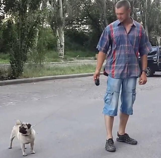 черников