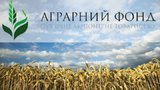 "Аграрный Фонд" может возглавить его бывший менеджер, уволенный в 2015 году