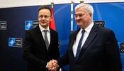 Сійярто накинувся на Зеленського: Сибіга відповів