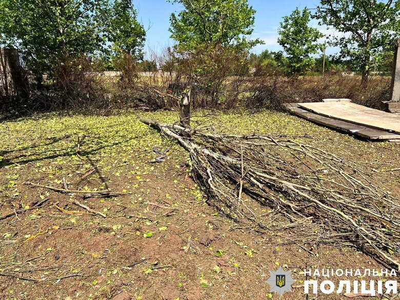 Обстріли Херсонщини 24 червня