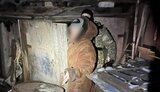 колаборанти