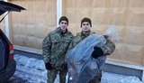 помощь волонтеры