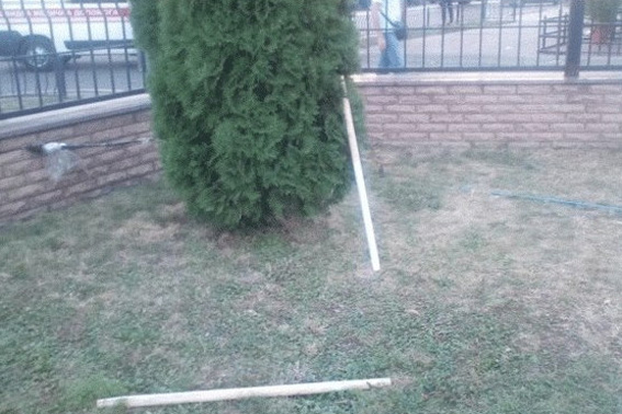 рейдерство