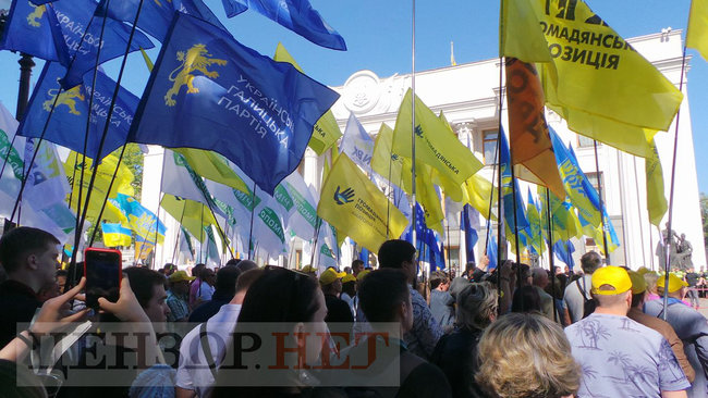Rally outside Rada: protesters demand to adopt new Electoral Code 05