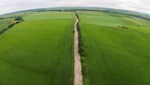 Как Администрация президента собирается передать землю в управление местной власти
