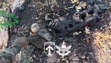 Розвідники 57-ї бригади оглядають рештки ворожої штурмової групи, знищеної безпілотниками поблизу Симинівки на Харківщині. ВIДЕО 18+