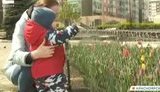 "Теперь колючей проволоки не хватает", - в российском Красноярске огородили клумбы и закрыли их сеткой для защиты от воров. ВИДЕО