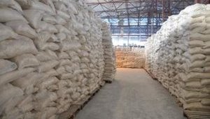 ГБР проводит обыски на складах Госрезерва