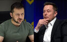 Илон Маск заявил, что Зеленский проиграл бы выборы в Украине