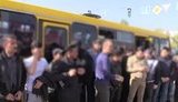 49 иностранцев-нелегалов задержаны на рынке "Троещина" в Киеве. ВИДЕО