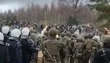 Две большие группы мигрантов прорвали границу Польши со стороны Беларуси
