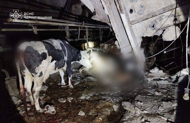 Обстріли Чернігівщини