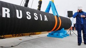 Всесвітній фонд дикої природи закликав Меркель зупинити будівництво "Північного потоку-2": Це тупик для боротьби зі зміною клімату