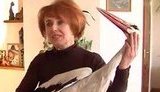 Аист стал членом одной из винницких семей. ВИДЕО