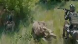 бій