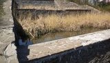 Жителі окупованого Донецька незадоволені станом парку біля "Донбас Арени": "Ось вона, реальність. Сумно і соромно". ФОТОрепортаж