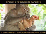 Работа с конечным потребителем