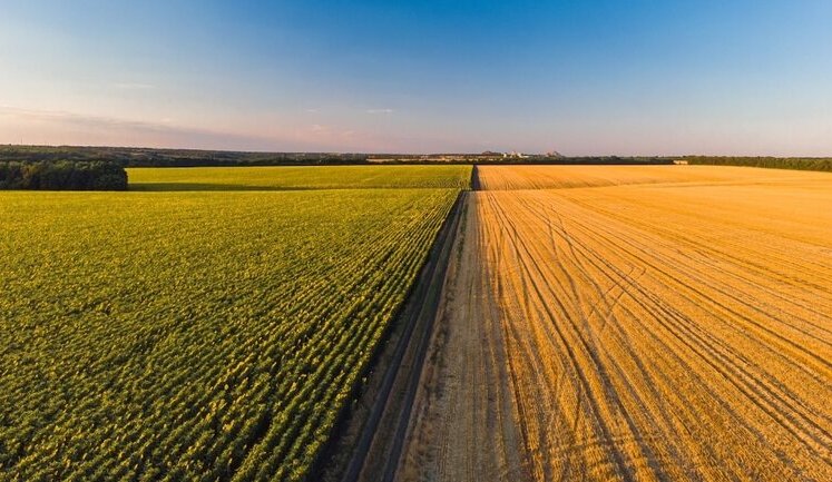 Кількість користувачів Державного аграрного реєстру перевищила 200 тисяч