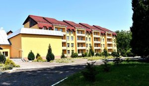 Скандал в Артек-Закарпаття: що показала перевірка?
