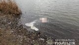 78-летний мужчина убил и расчленил женщину на Днепропетровщине из-за нежелания отдавать долг, - Нацполиция. ВИДЕО+ФОТО