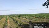 У Черкаській області фермери напали на інспекторів праці, що прийшли з позаплановою перевіркою. ФОТОрепортаж