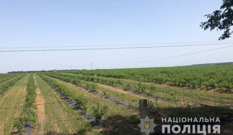 У Черкаській області фермери напали на інспекторів праці, що прийшли з позаплановою перевіркою. ФОТОрепортаж