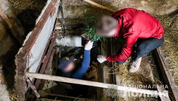 Полицейские Закарпатья обнаружили под землей две нарколаборатории с элитной коноплей на 5 млн гривен. ВИДЕО+ФОТОрепортаж