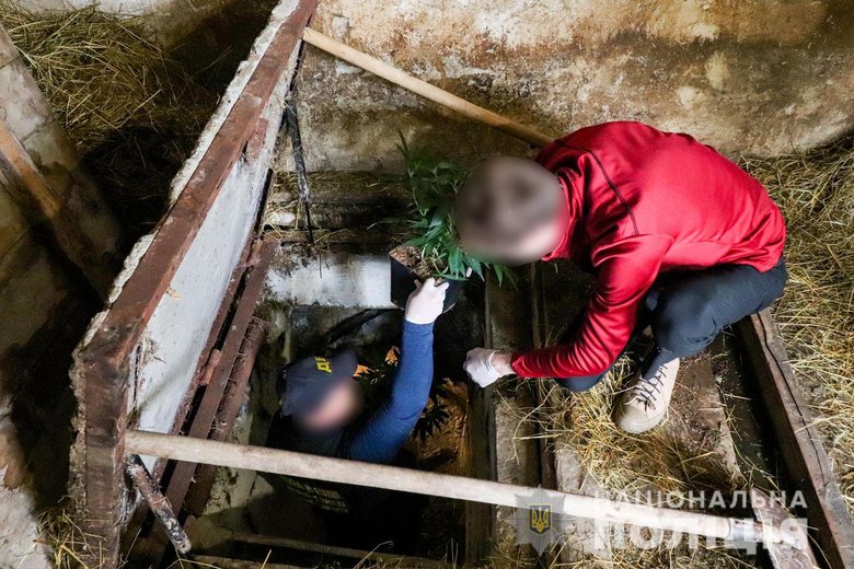 Полицейские Закарпатья обнаружили под землей две нарколаборатории с элитной коноплей на 5 млн гривен 01 Полицейские Закарпатья обнаружили под землей две нарколаборатории с элитной коноплей на 5 млн гривен 01