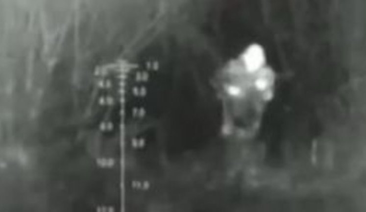 "I could fire three shots and eliminate covering party, but they had to take away the body," - enemy sniper destroyed near Debaltseve. VIDEO