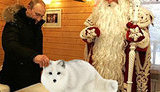 путин