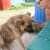 Саша Мищенко #316976