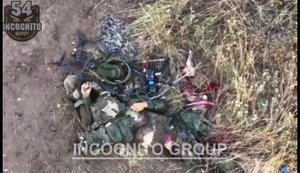 Уничтожено 8 автомобилей, 27 мотоединиц и 318 захватчиков: удар дронов 54-й ОМБр. ВИДЕО 18+