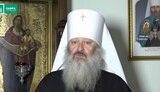 павло,лебідь