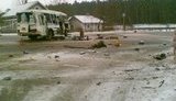Автобус на Львовщине попал в страшное ДТП: погибли 4 человека и 23 госпитализированы. ФОТО