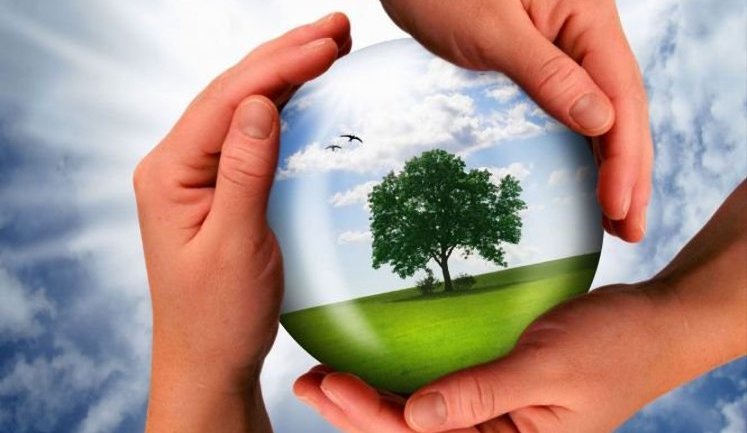 В Україні створять Науково-експертну раду з питань зміни клімату