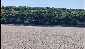 Дністер рекордно обмілів.