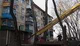 "Головна мета - збереження зелених насаджень": "Київзеленбуд" пояснив необхідність кронування дерев