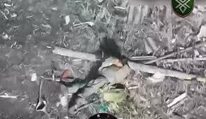 Dovbush’s Hornets killed three Russian soldiers with attack drones. VIDEO