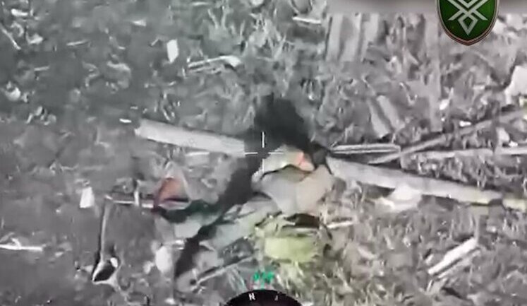Dovbush’s Hornets killed three Russian soldiers with attack drones. VIDEO