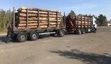 Сотрудники ГП "Киевоблагролес" задержаны при получении 40 тыс. грн за незаконную продажу древесины, - прокуратура. ФОТО