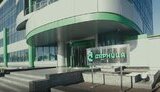 дарница