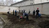 рф