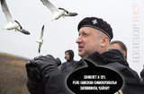 Чайки Кровавого Пастора