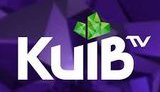 Чи хороша це ідея витрачати по $3 млн на канал "Київ" з 0,5% частки в столиці і 0,06% за її межами? - депутат Київради Таранов. ВIДЕО