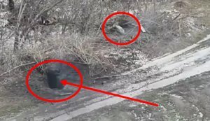 FPV-дрон взорвал неразорвавшуюся 500-килограммовую авиабомбу ФАБ-500 и уничтожил укрытие с двумя оккупантами. ВИДЕО